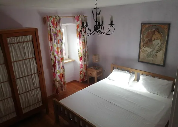 公寓 Flora Drivenik